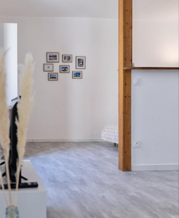 Vesoul Centre Historique Appartement Buitenkant foto